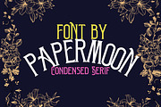 Victorian - Vintage Display Font, a Serif Font by PaperMoon (Thumbnail 2 of 4)