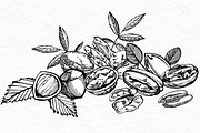 Nuts and snacks, a Food Illustration by Ann Astro (Thumbnail 24 of 24)