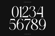 CS March – Modern Display Font, a Serif Font by Craft Supply Co. (Thumbnail 5 of 8)