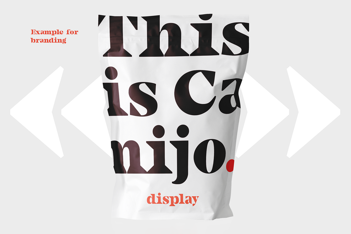 Camijo Display Serif Font preview 6