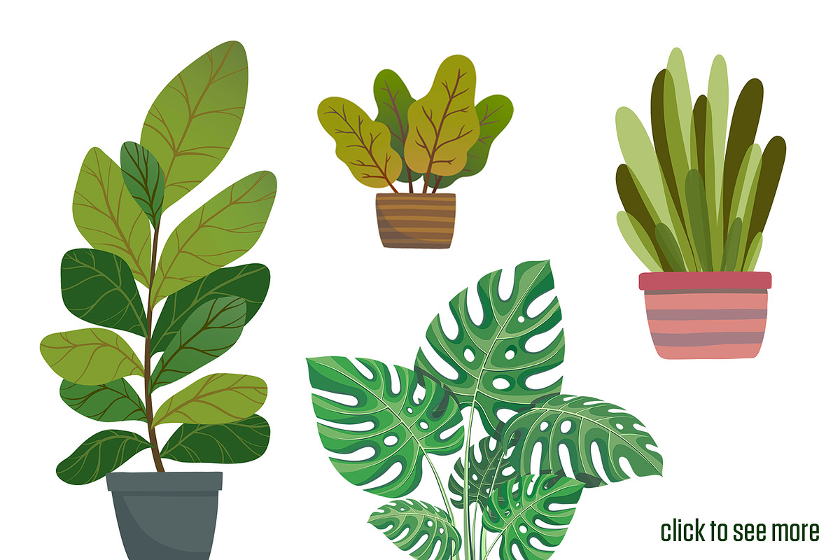 House plants and cats, an Object Graphic by Green_leaf_17 (Photo 2 of 3)
