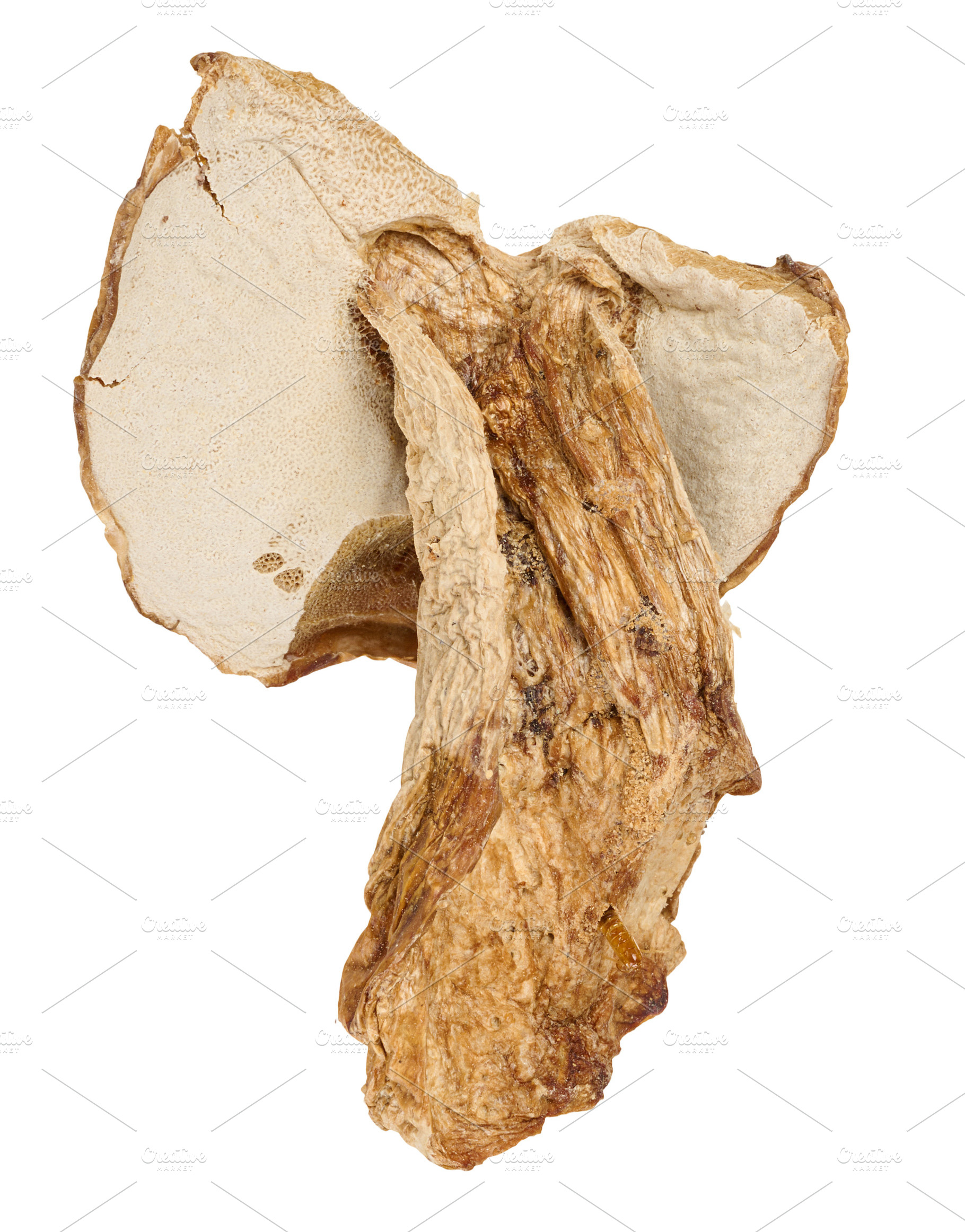 A dried mushroom with a fibrous, brown texture. Isolated backgro, a Food & Drink Photo by ndanko