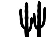 collection of desert cactus silhouet, an Illustration by Amazin_art (Thumbnail 10 of 33)