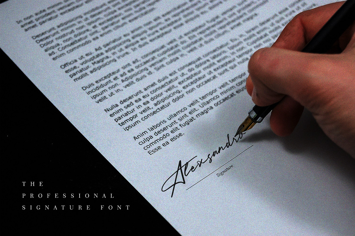 Paradise Signature Font, a Script Font by Graphicfresh (Photo 3 of 8)