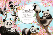 Panda clipart, PNG Amimals, an Animal Illustration by MitrushovaArt (Thumbnail 1 of 8)