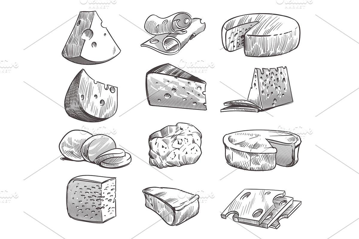 Sketch cheese. Various types of, a Food Illustration by YummyBuum