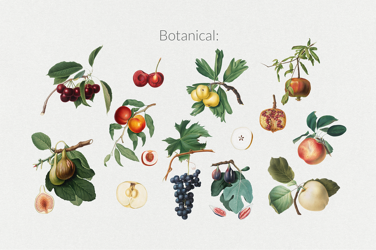 250+ Elements - Collage Creator Pack, an Object Graphic by Digi Life (Photo 15 of 32)