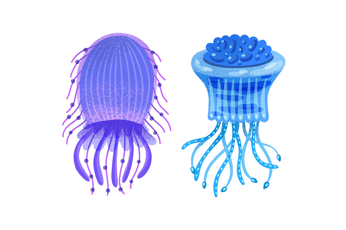 Different jellyfish, sea animals set, an Animal Illustration by Good Studio (Photo 5 of 6)
