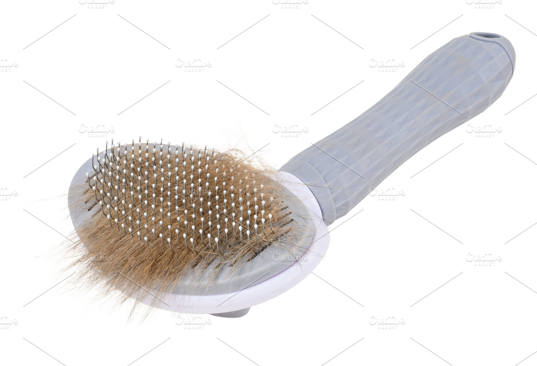 Gray pet slicker brush with ergonomic handle and metal teeth fil, an Animal Photo by ndanko