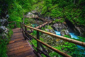 Wooden hiking path and Radovna river, a Wallpaper Photo by Alpine Dreams