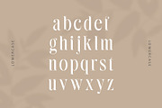Bilqust - Elegant Serif, a Serif Font by Nirmana Visual (Thumbnail 4 of 9)