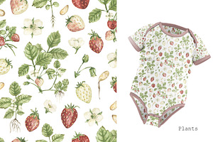 Watercolor Patterns Collection