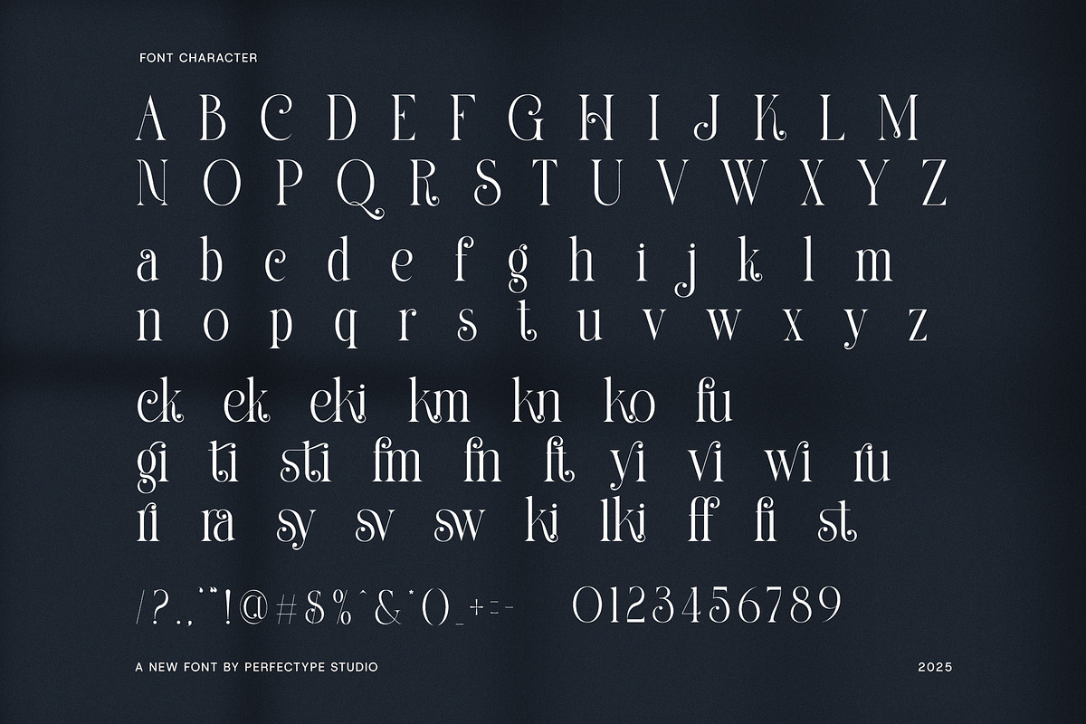 Helkina Stylish Serif Font, a Serif Font by Perfectype (Photo 7 of 8)