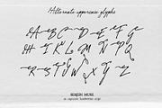 Serein Muse Handwritten Script, a Script Font by Mneme (Thumbnail 7 of 8)