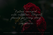 Nocturnus Handwritten Script Font, a Script Font by Up Up Creative (Thumbnail 15 of 15)