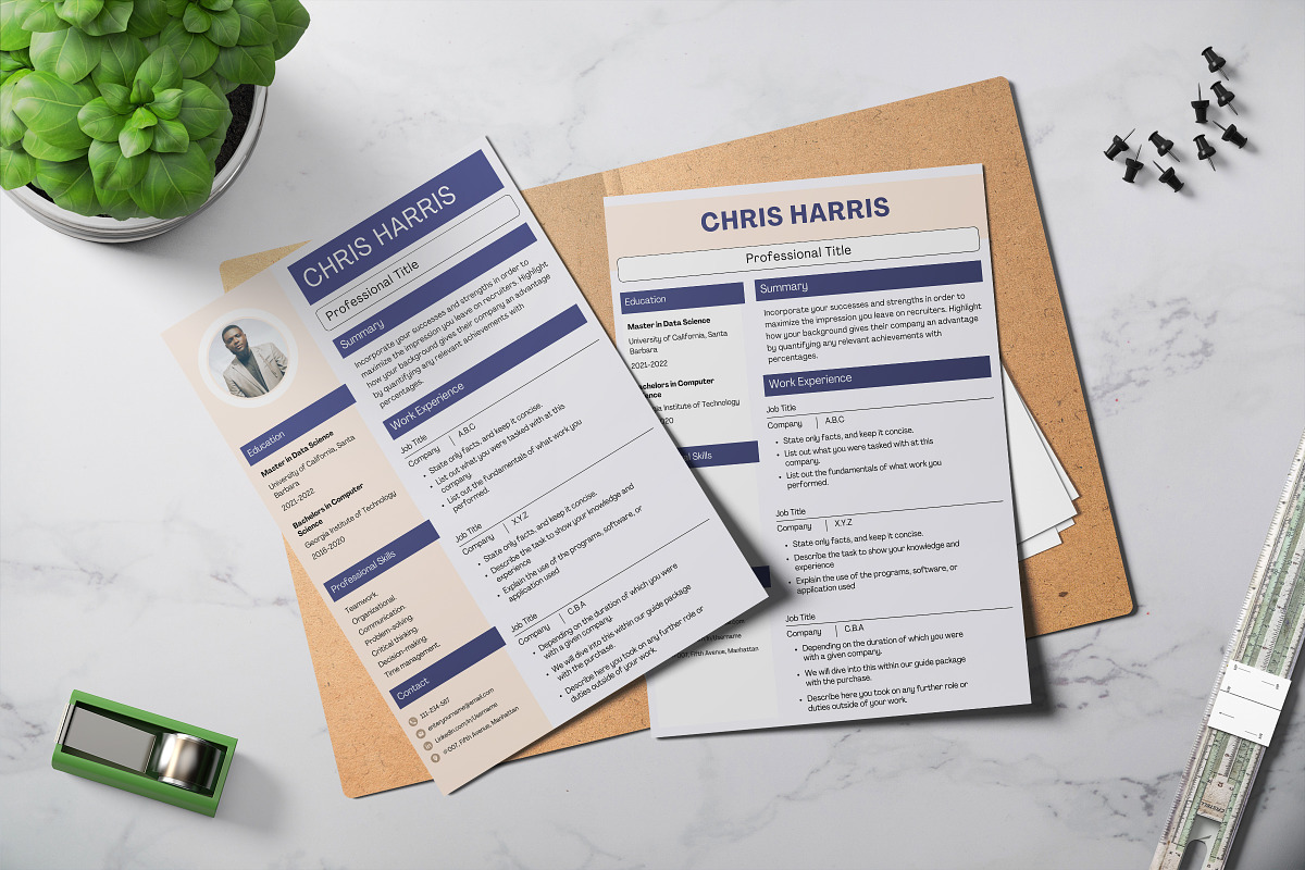 Professional Application CV Template, a Print Template by Snapybiz (Photo 2 of 10)