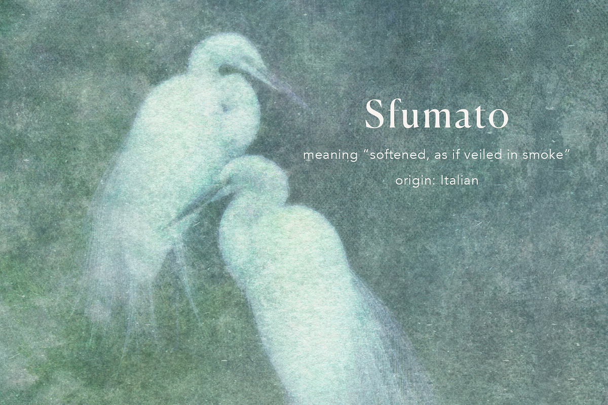 Sfumato Organic Textured Backgrounds, a Background Graphic by alonahaidash (Photo 5 of 15)