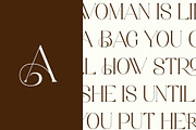 Aretha - Modern Serif Font, a Serif Font by Aqeel_Art (Thumbnail 9 of 12)