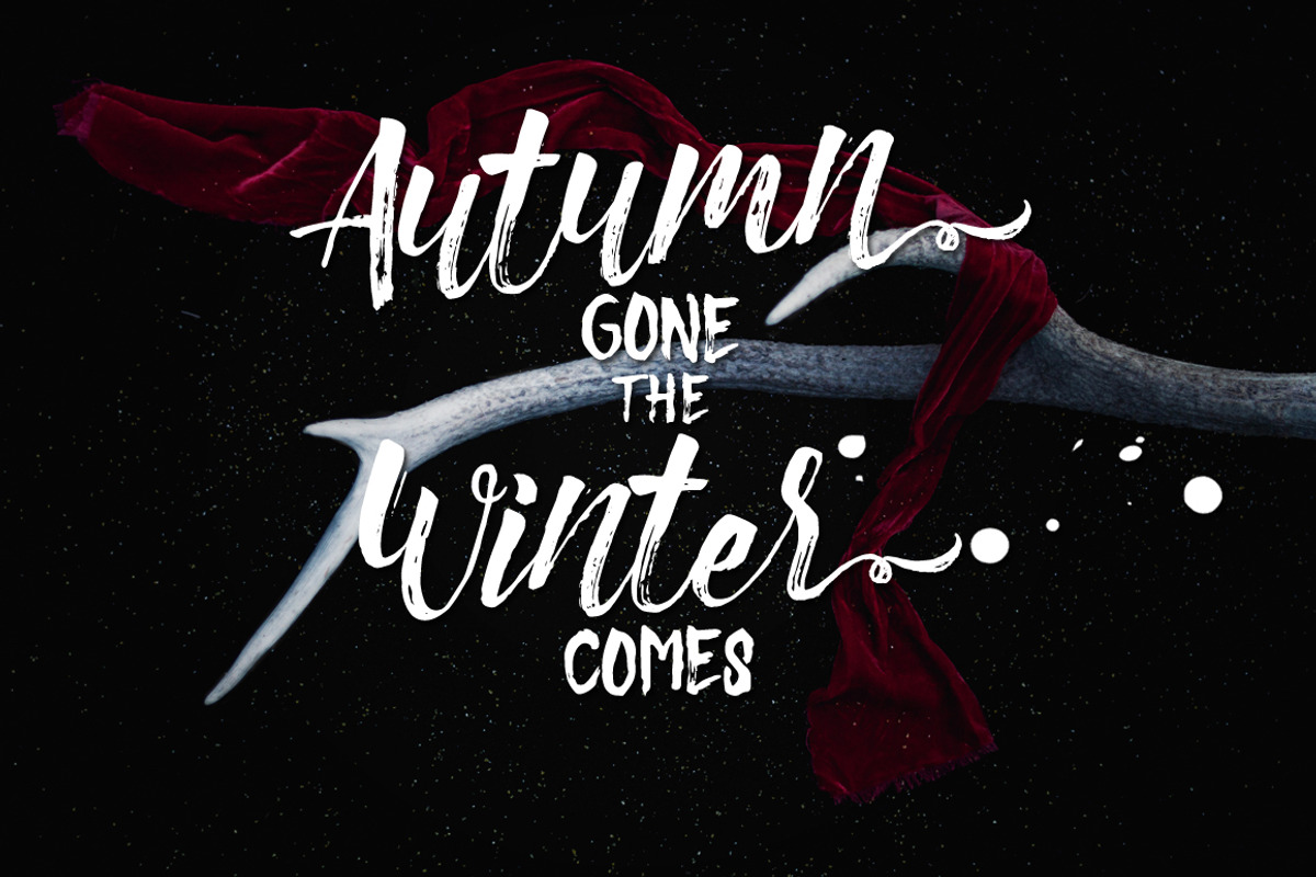 Christmas Beauty + Swashes, a Script Font by Hart Foundry™ (Photo 2 of 7)