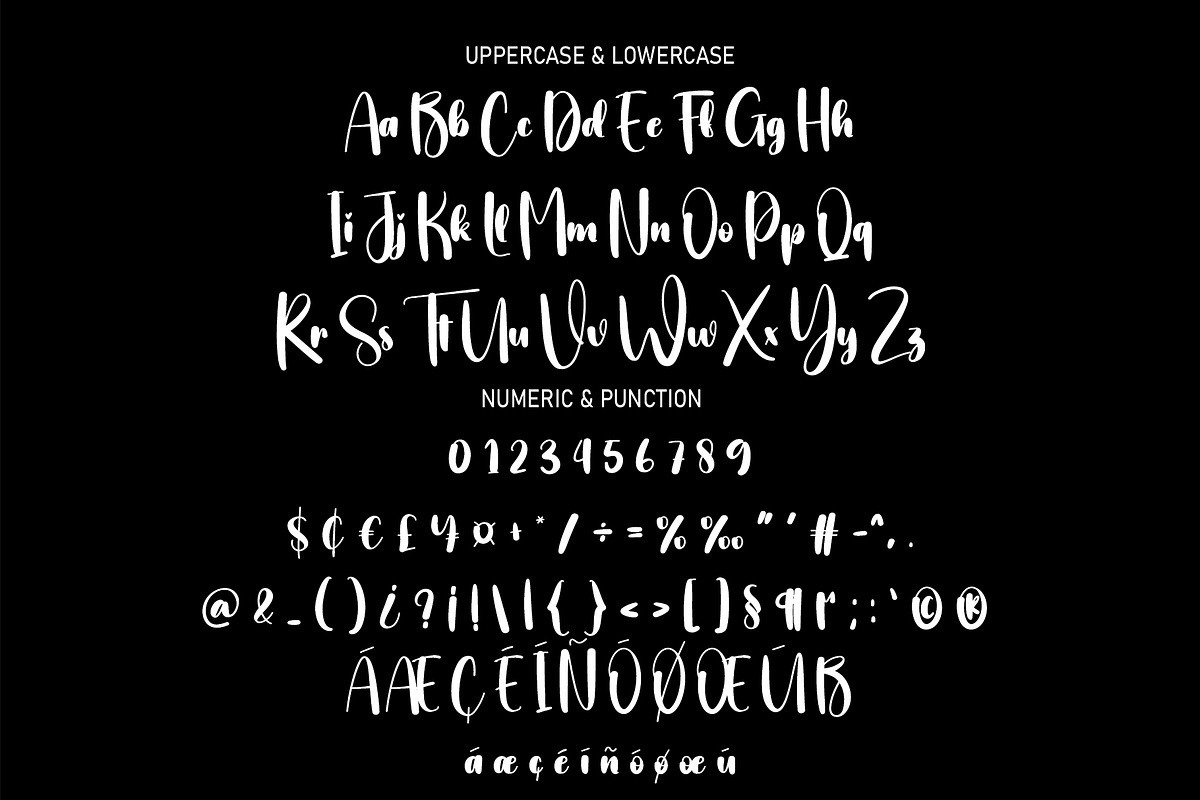 Bold Style | Script Font, a Script Font by Scratchones (Photo 2 of 8)