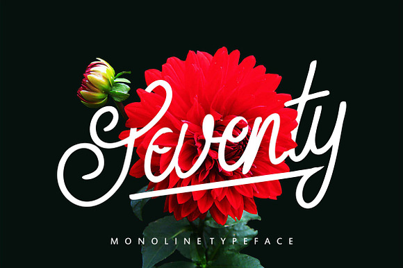 Seventy Monoline Typeface