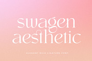 swagen aesthetic, a Serif Font by INKSUN™ (Thumbnail 1 of 9)
