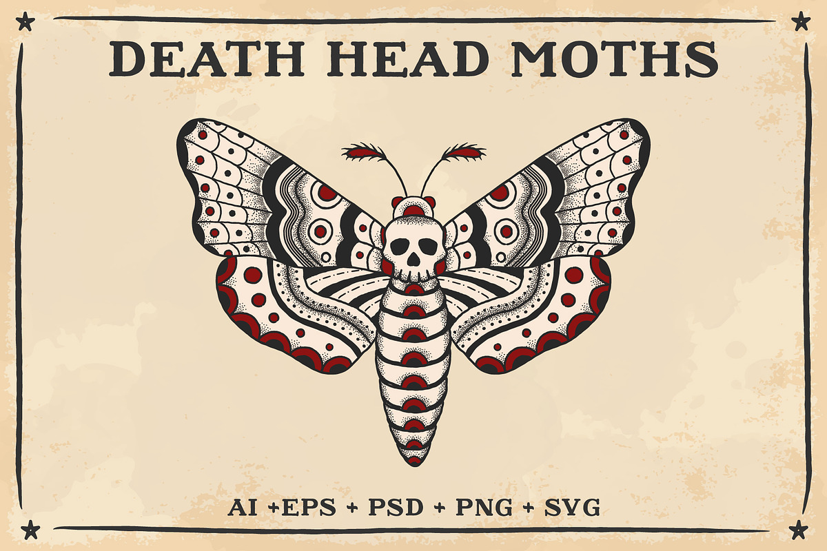 Death Head Moth Design, an Education Illustration by BAD TASTE (Photo 2 of 4)