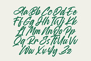 Heighaps Wastone Modern Brush Font, a Script Font by Letterena Studios Script (Thumbnail 12 of 20)