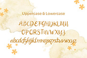 Ayeilla - Simple Script Font, a Script Font by Dhabee (Thumbnail 5 of 7)