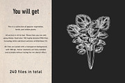 Vegetables & Herbs Vector Sketches., an Object Graphic by Yevheniia (Thumbnail 3 of 11)