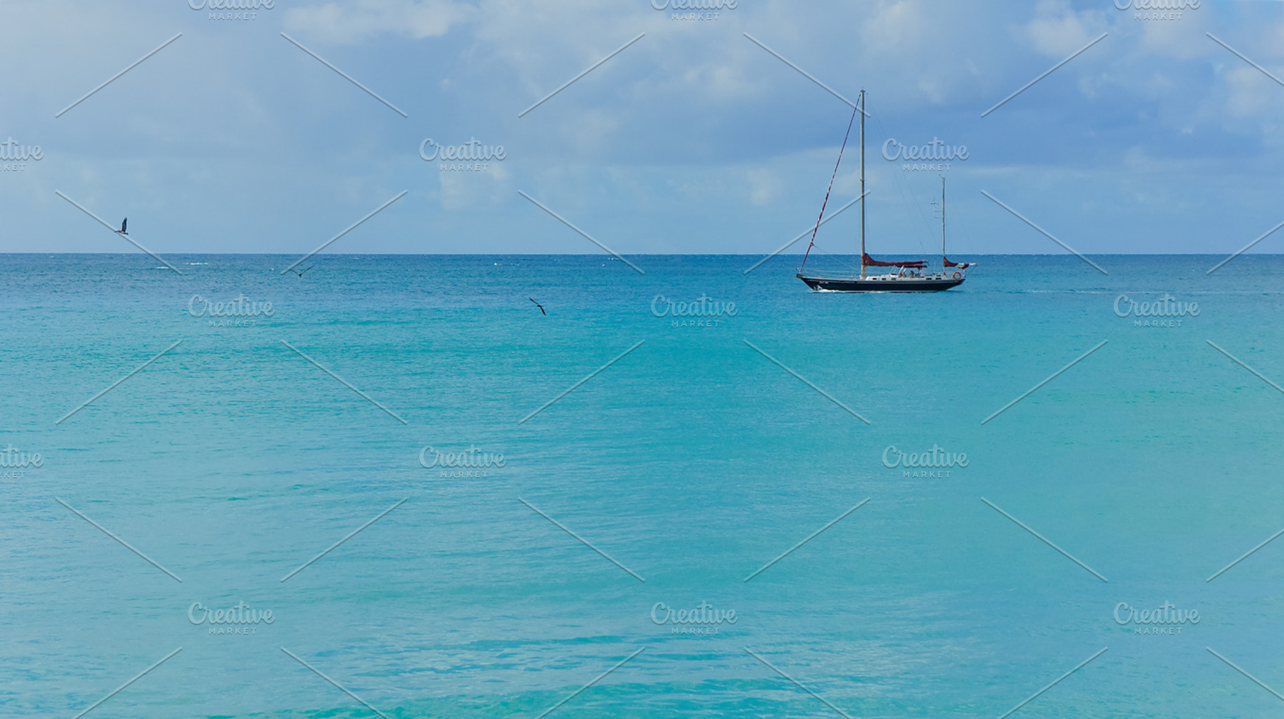 Humbug Sails