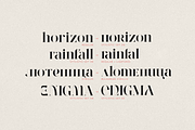 Wonder Type - high-end serif font, a Serif Font by VP Fonts (Thumbnail 5 of 20)