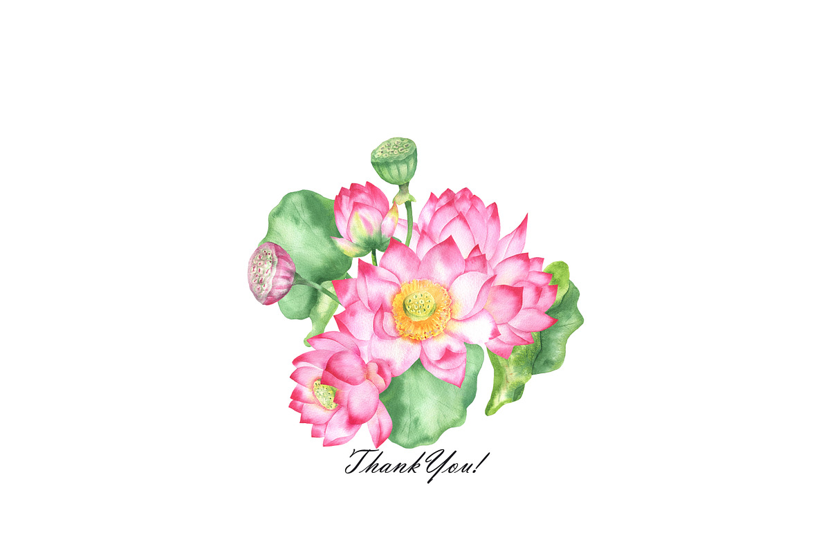 Watercolor lotus flower clipart, an Illustration by OlDm_Shop (Photo 10 of 10)