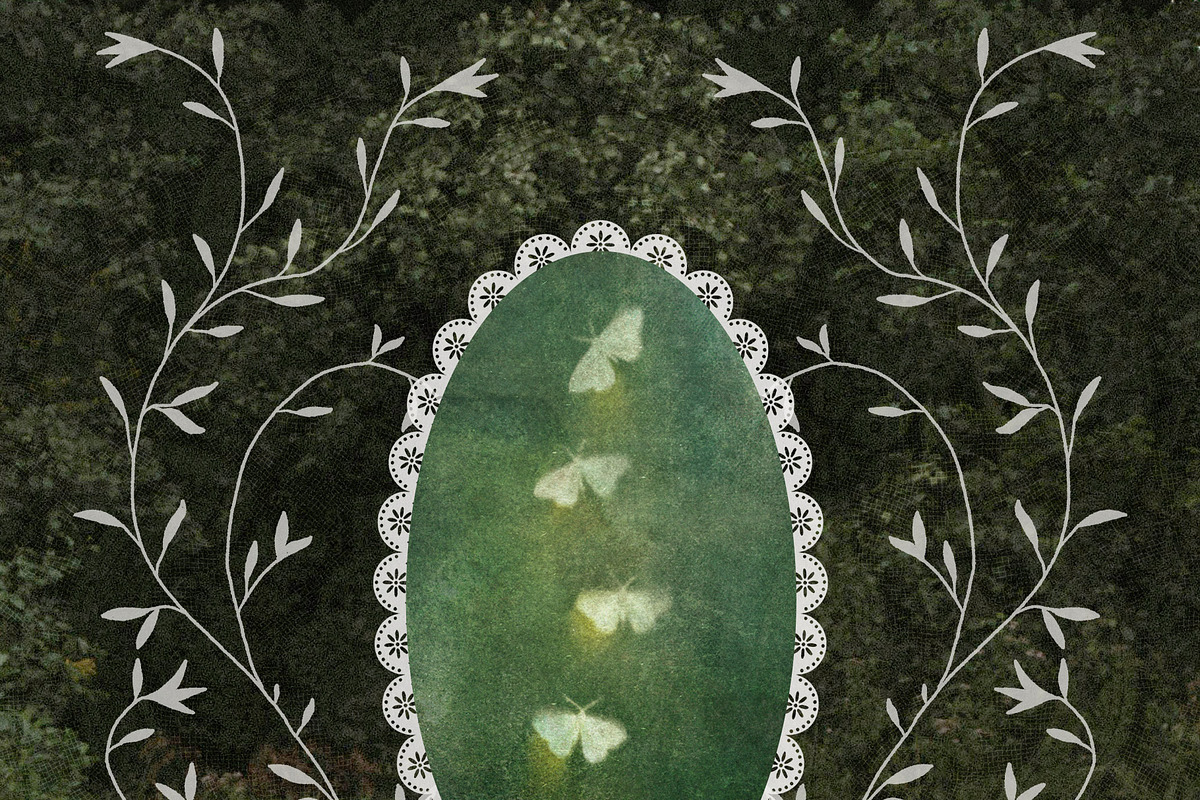 Understory Organic Backgrounds, a Background Graphic by alonahaidash (Photo 5 of 15)