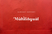 Balist - Modern Serif Font, a Serif Font by delipensil (Thumbnail 7 of 9)