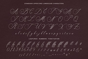 Fleurienne – Handwritten Script Font, a Handwritten Font by Gau Silva Studio (Thumbnail 6 of 6)
