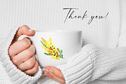 Yellow Mimosa Sunshine, an Illustration by Olga Koelsch (Thumbnail 7 of 7)