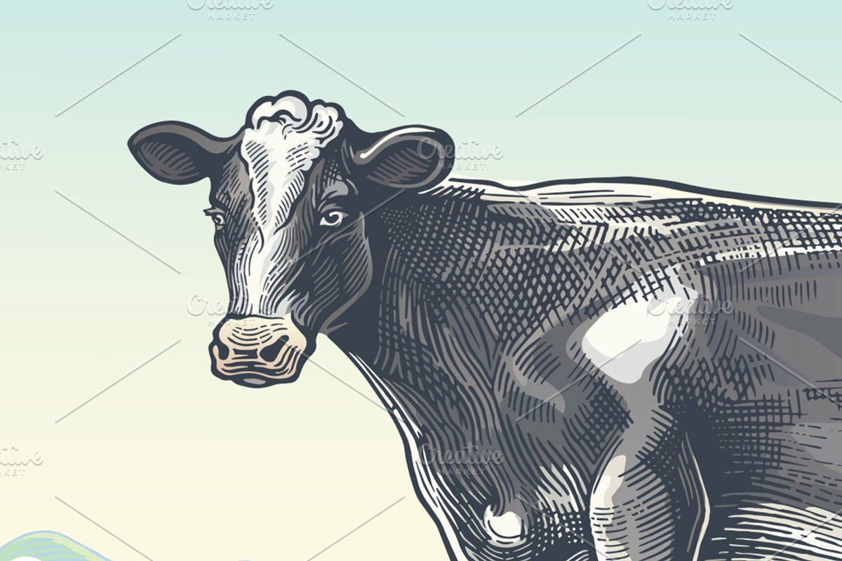 Set illustrations for milk label, a Food Illustration by Countryside life (Photo 4 of 7)