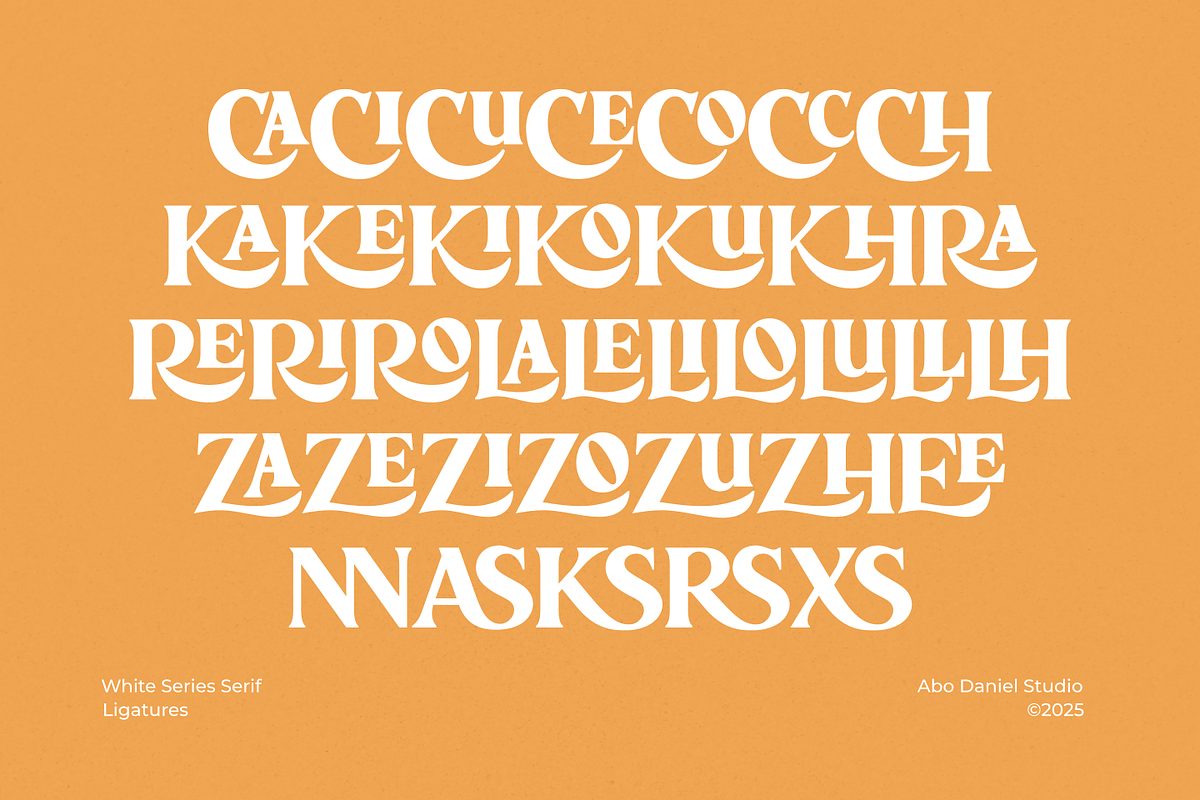 White Series, a Serif Font by Abo Daniel Studio (Photo 13 of 14)