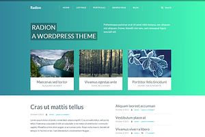 Radion Wordpress theme