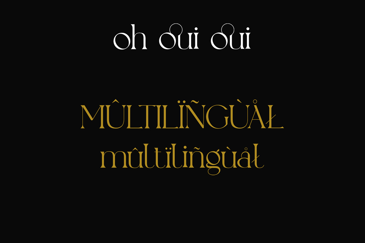 Partizeno Elegant/Branding Font, a Sans Serif Font by GraphicDash (Photo 10 of 10)