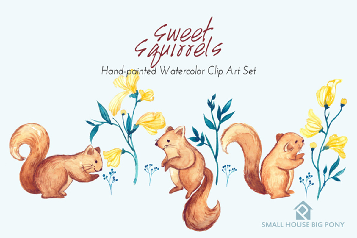 Sweet Squirrels -Huge Watercolor Set, an Animal Illustration by SmallHouseBigPony (Photo 8 of 14)