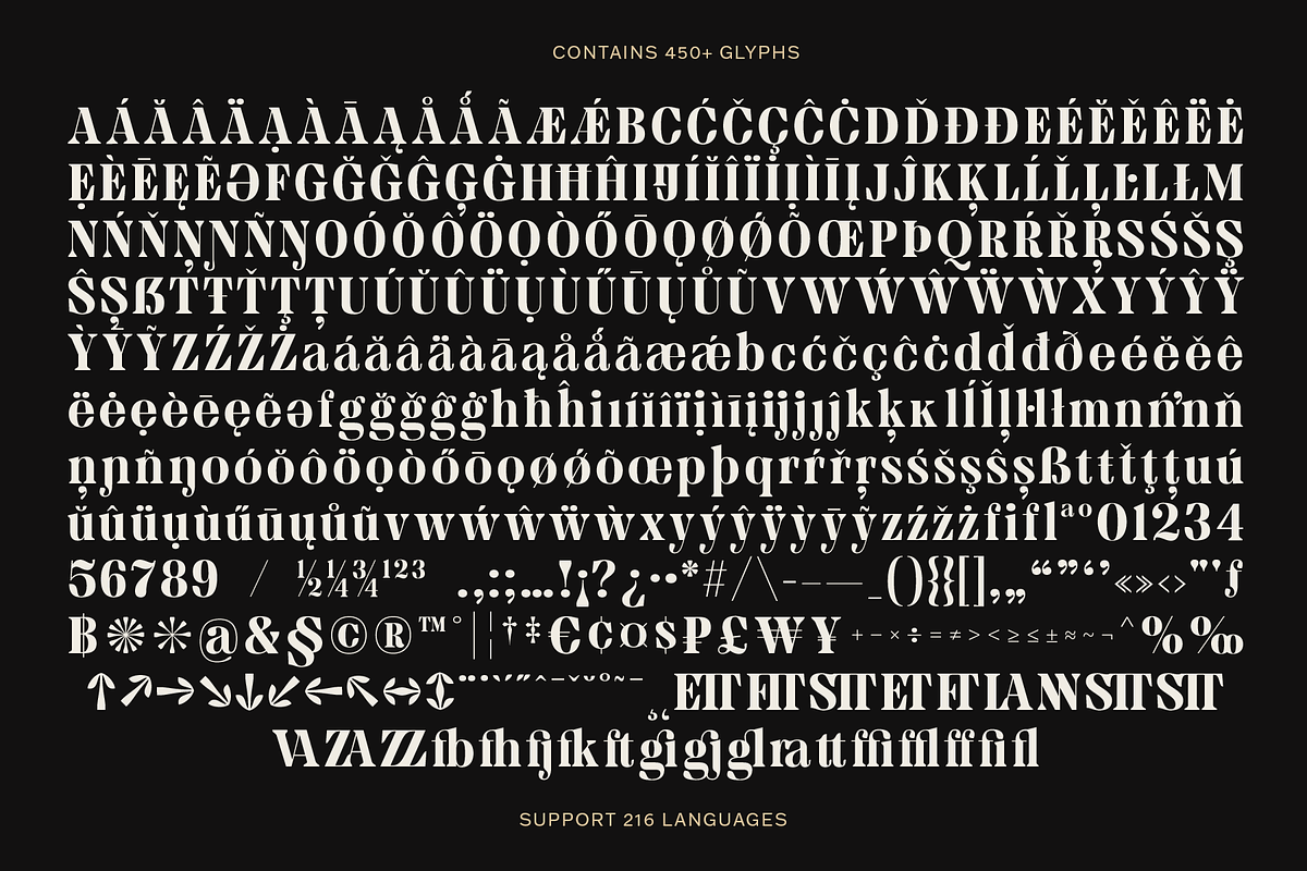 MTC Granfise - A Unique Serif, a Serif Font by Martype (Photo 5 of 12)