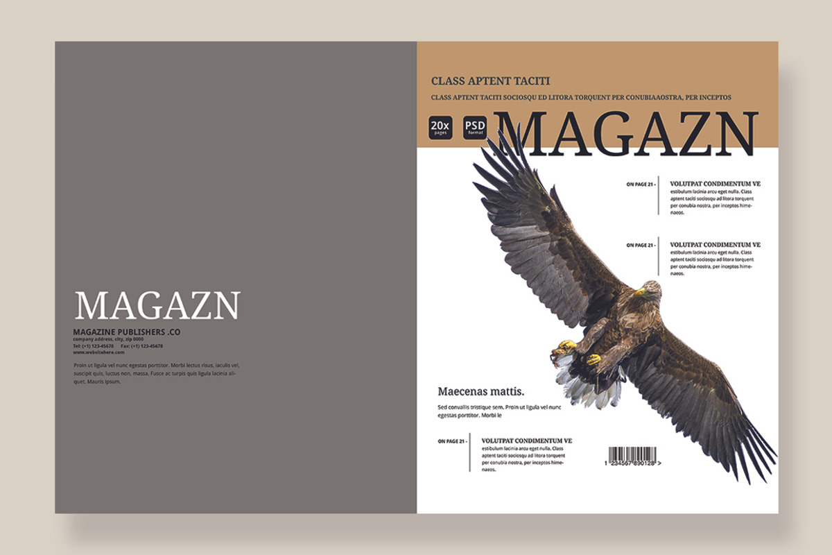 Magazine Template 07, a Magazine Template by pmvch (Photo 3 of 12)