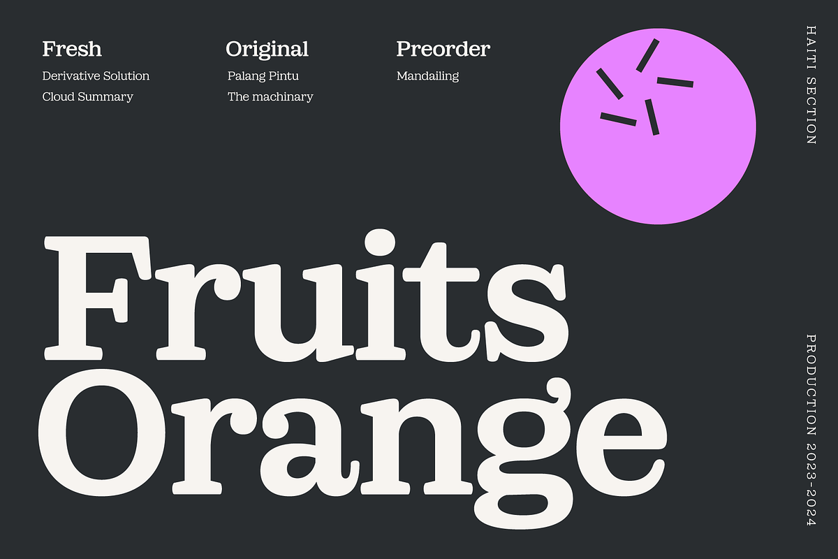 Sailer: Display Serif Font Family, a Serif Font by Eko Bimantara (Photo 8 of 14)