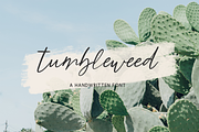Tumbleweed Script, a Script Font by Beck McCormick (Thumbnail 1 of 10)