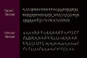 Meagre Display - 90s  Serif Family, a Serif Font by Holyline Design (Thumbnail 13 of 15)