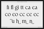 Walknoice - Modern Stylish, a Serif Font by RockboyStd (Thumbnail 11 of 12)