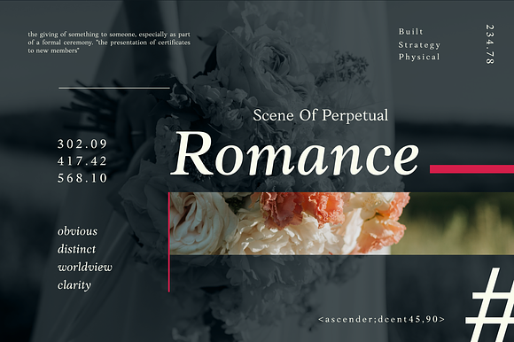 Anko 8 Serif Fonts