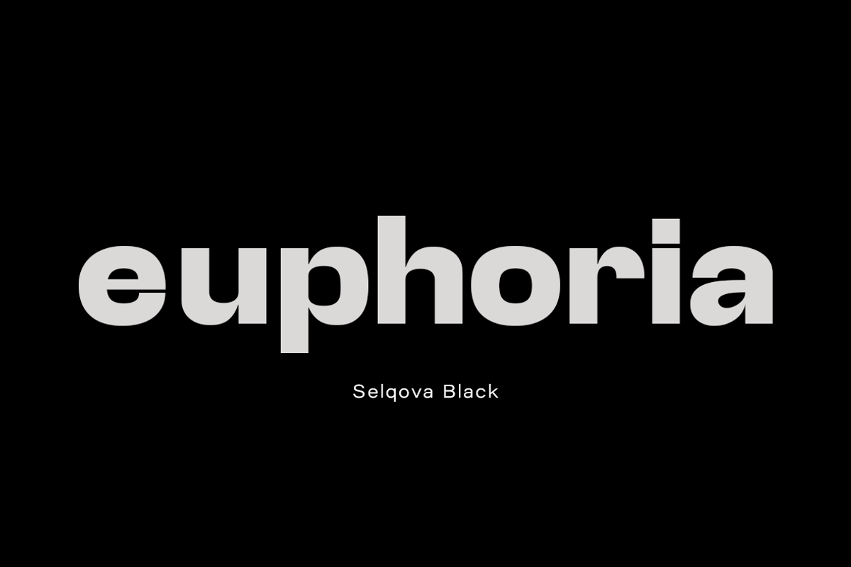 Selqova | Sans serif family, a Sans Serif Font by InkwellTypeCo (Photo 6 of 18)